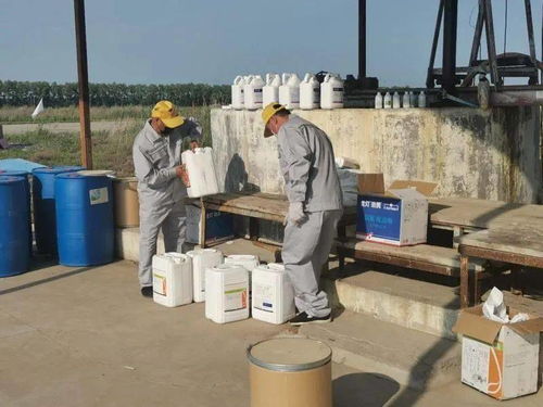 累计节约6000余万元 北大荒集团构建农业投入品运营新模式