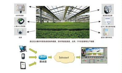 圣启农业物联网 为现代农业插上“云翅膀”